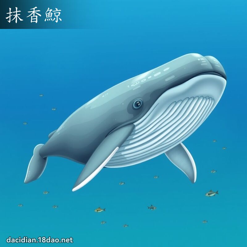 抹香鯨 - 国语大辞典配图