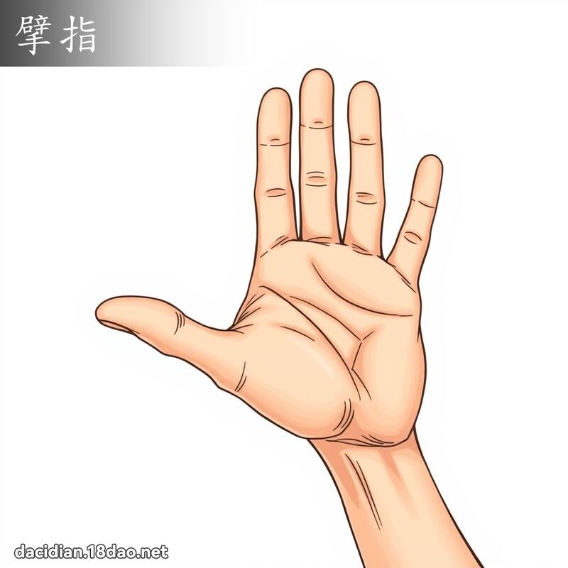 擘指 - 國語大辭典配圖