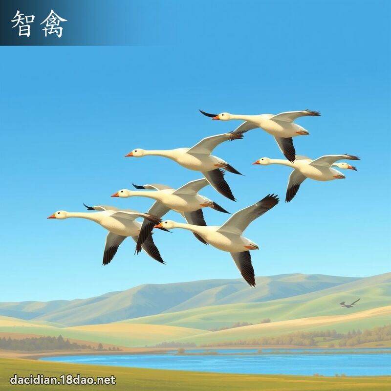智禽 - 国语大辞典配图