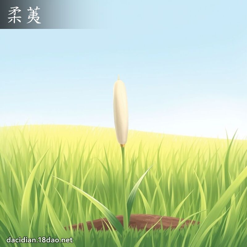 柔荑 - 國語大辭典配圖