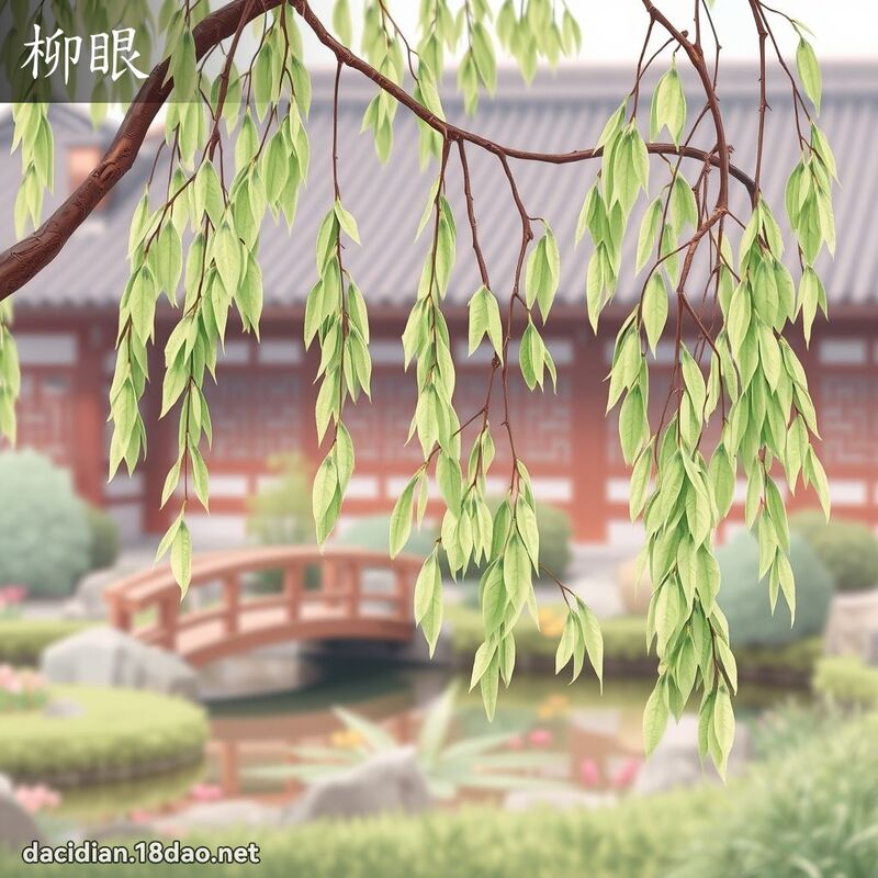 柳眼 - 国语大辞典配图
