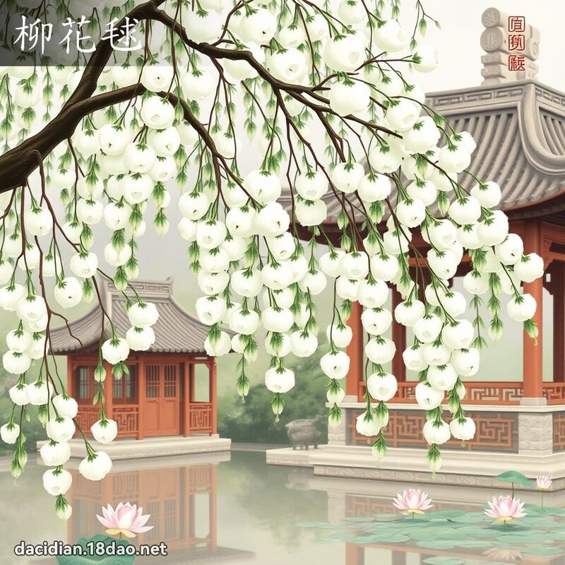 柳花毬 - 国语大辞典配图