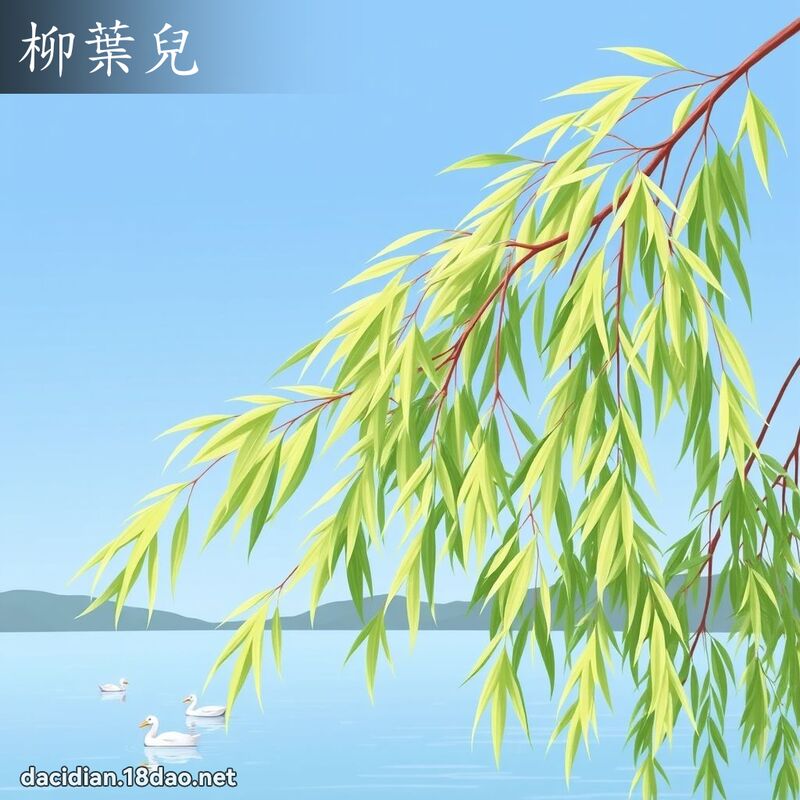 柳叶儿 - 国语大辞典配图