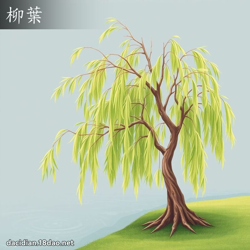 柳叶 - 国语大辞典配图
