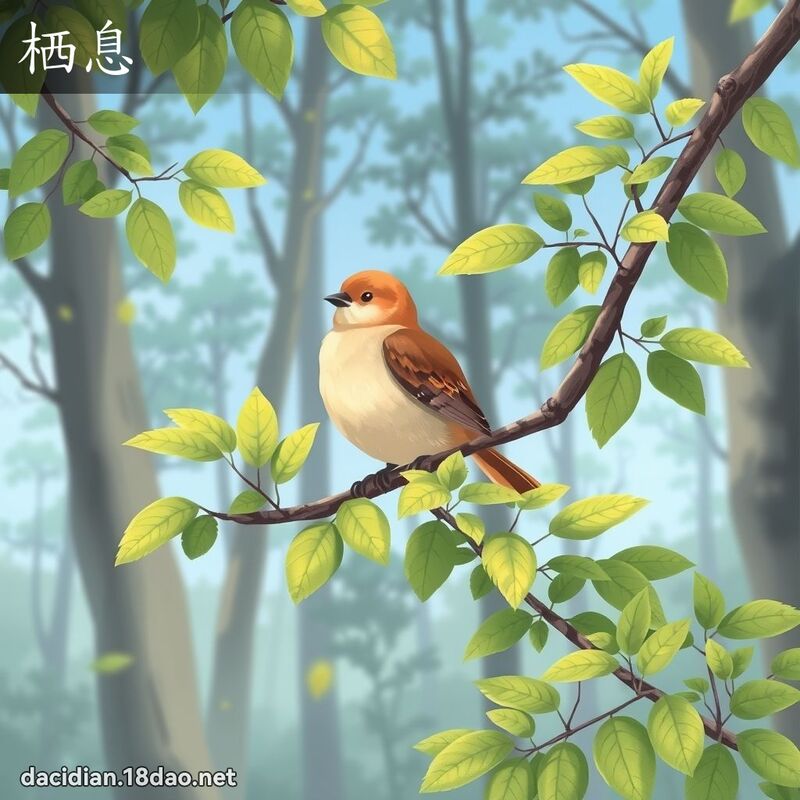 栖息 - 国语大辞典配图