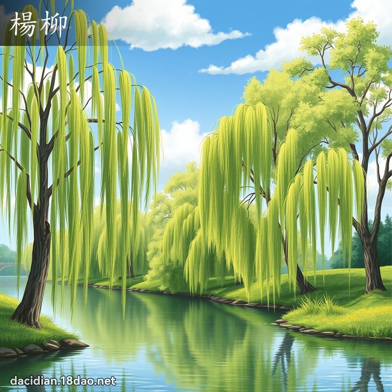 楊柳 - 國語大辭典配圖