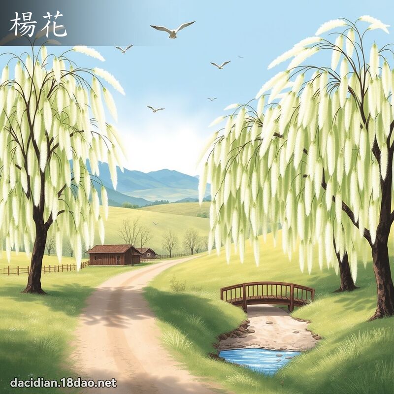 杨花 - 国语大辞典配图