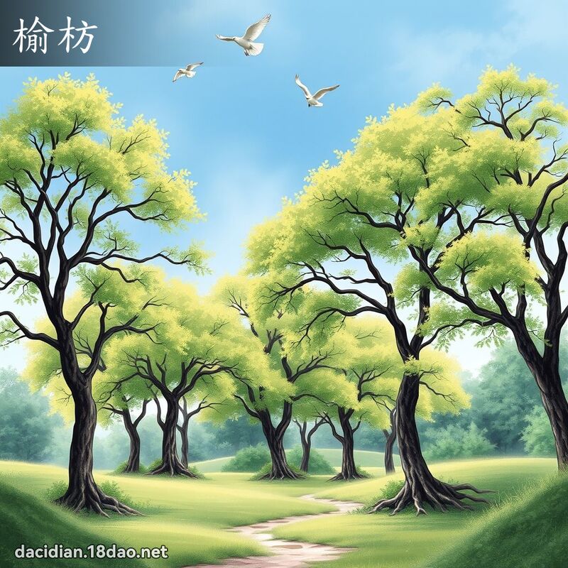榆枋 - 國語大辭典配圖