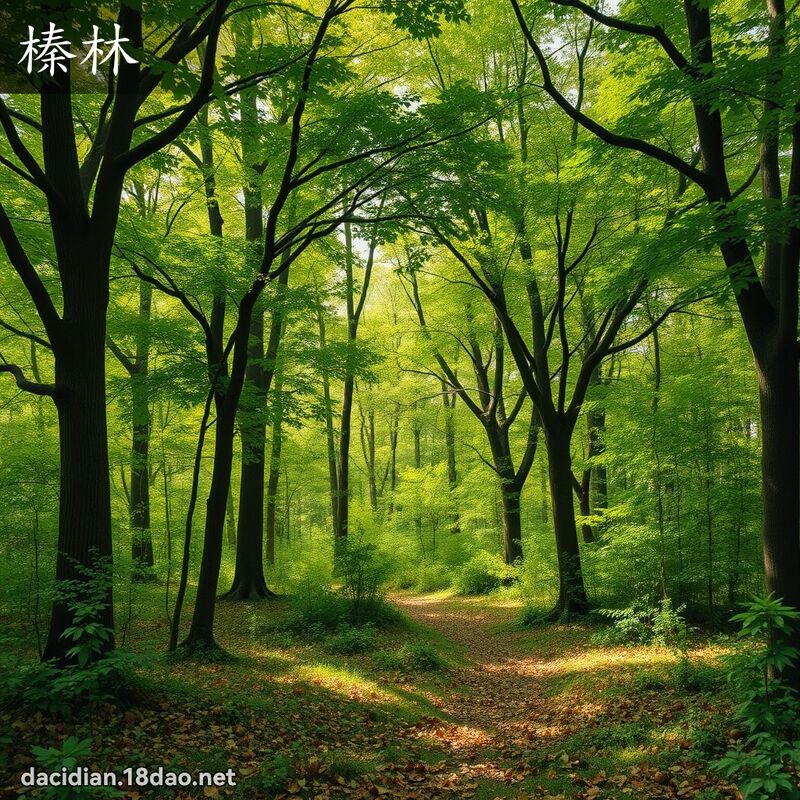 榛林 - 國語大辭典配圖