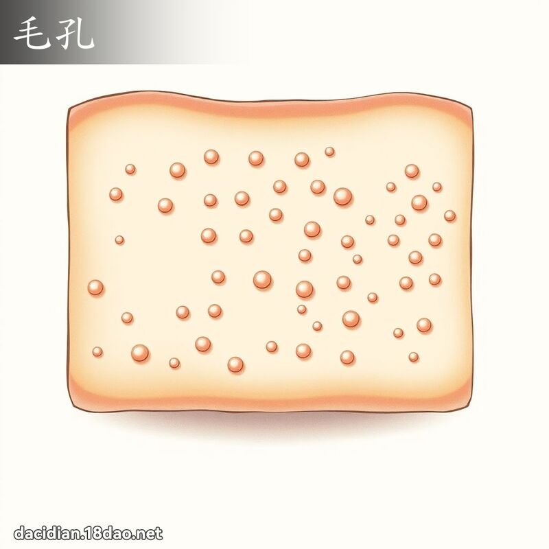 毛孔 - 國語大辭典配圖