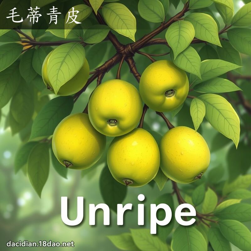 毛蒂青皮 - 國語大辭典配圖