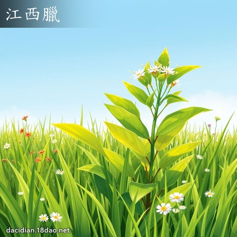 江西臘 - 國語大辭典配圖