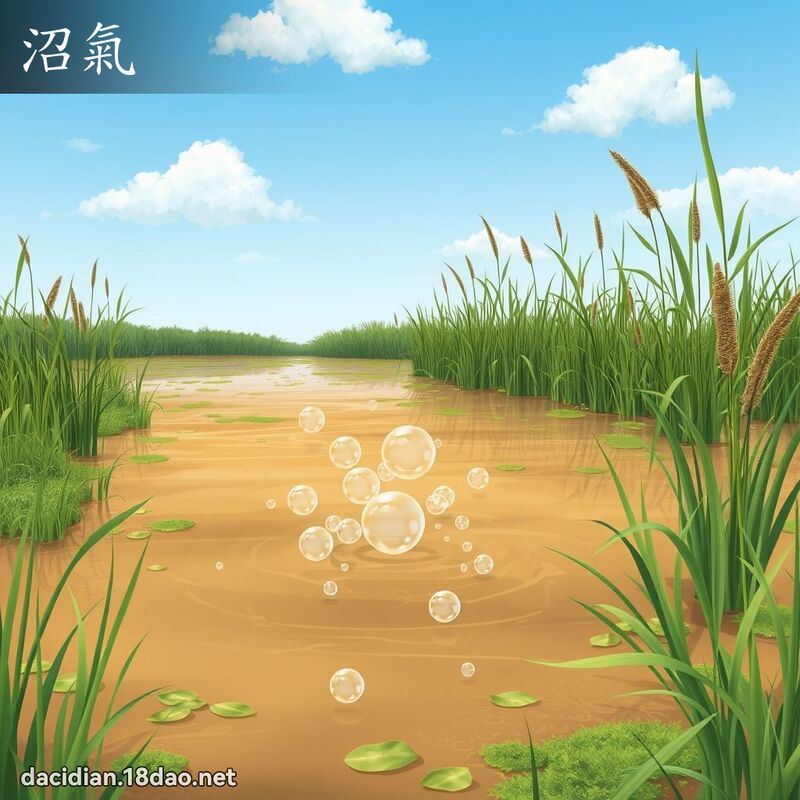 沼气 - 国语大辞典配图