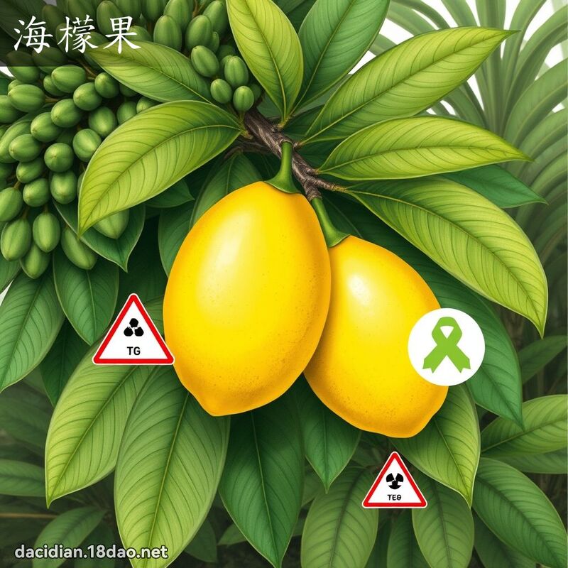 海檬果 - 國語大辭典配圖