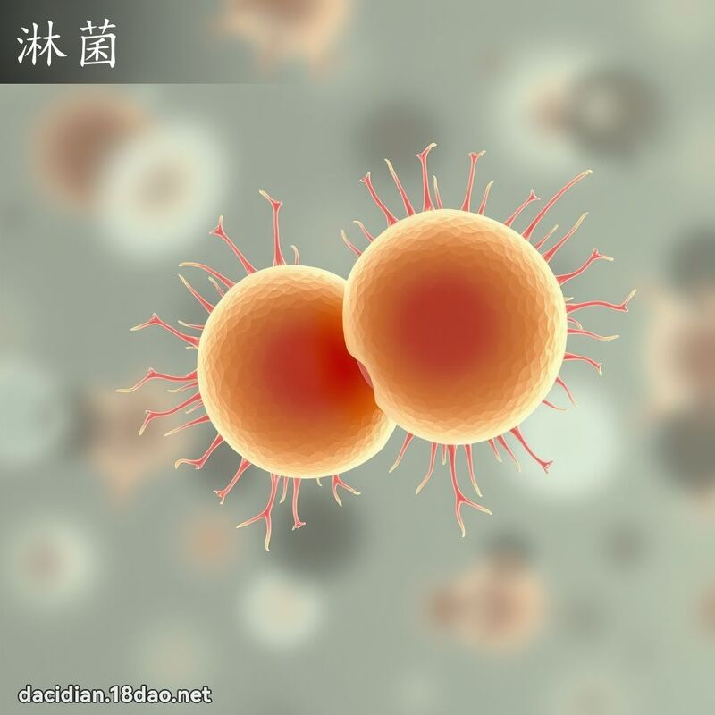 淋菌 - 國語大辭典配圖