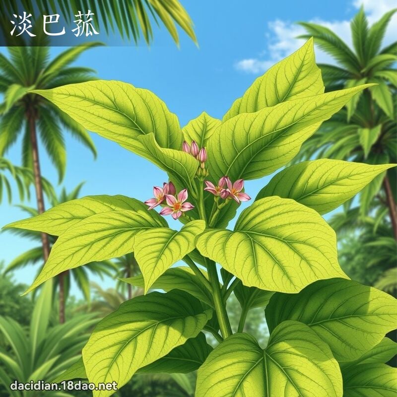 淡巴菰 - 国语大辞典配图