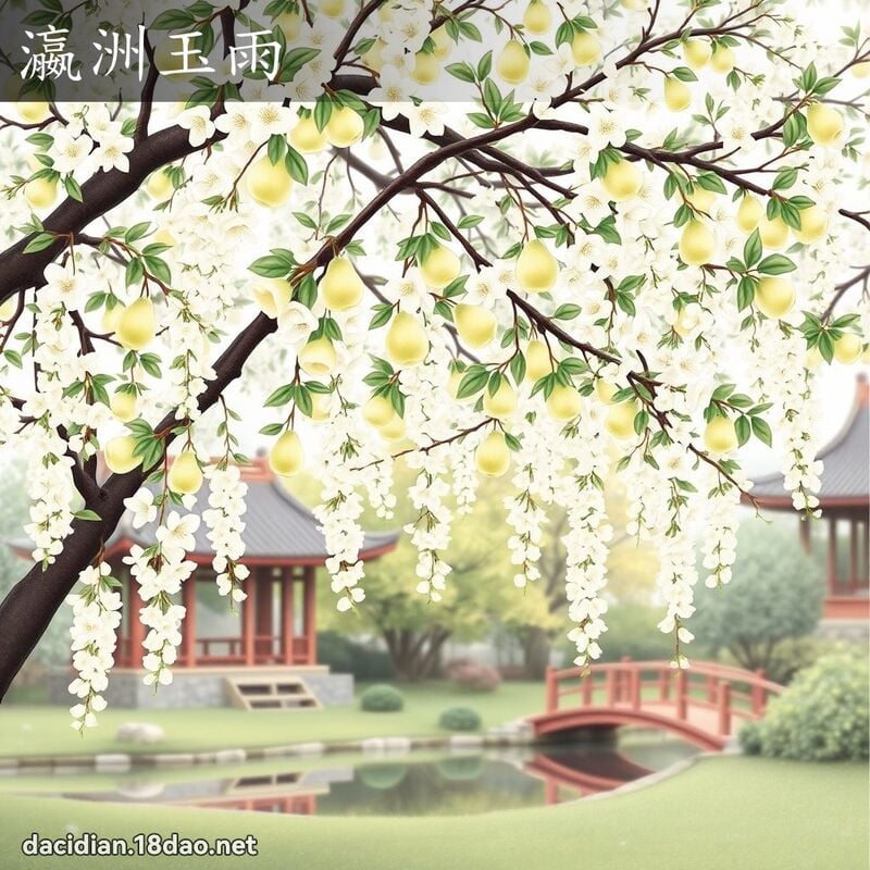 瀛洲玉雨 - 國語大辭典配圖