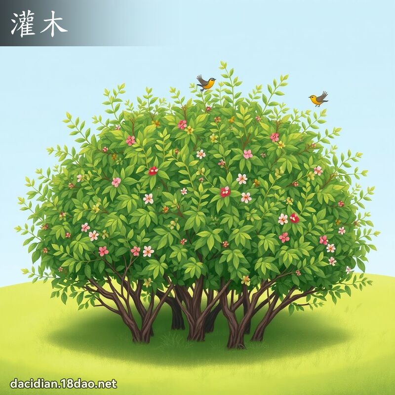 灌木 - 國語大辭典配圖