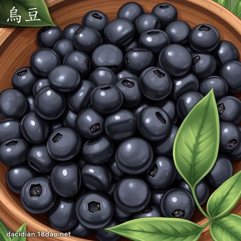 烏豆 - 國語大辭典配圖