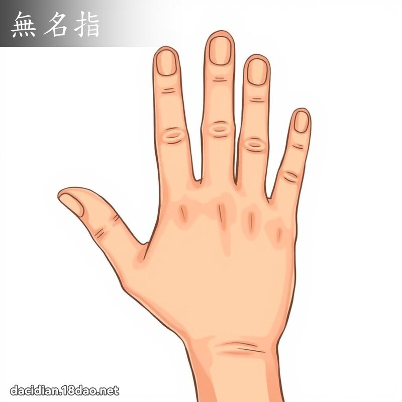 无名指 - 国语大辞典配图