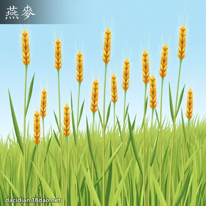 燕麥 - 國語大辭典配圖