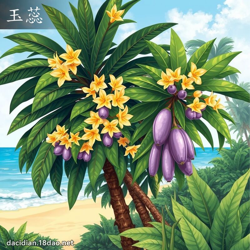 玉蕊 - 國語大辭典配圖