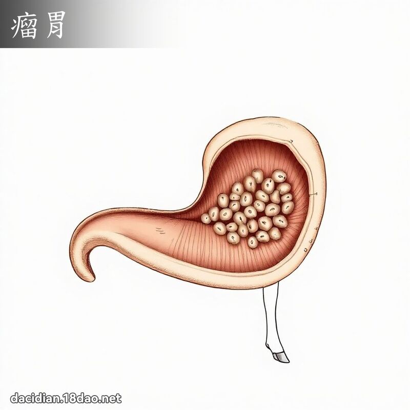瘤胃 - 國語大辭典配圖