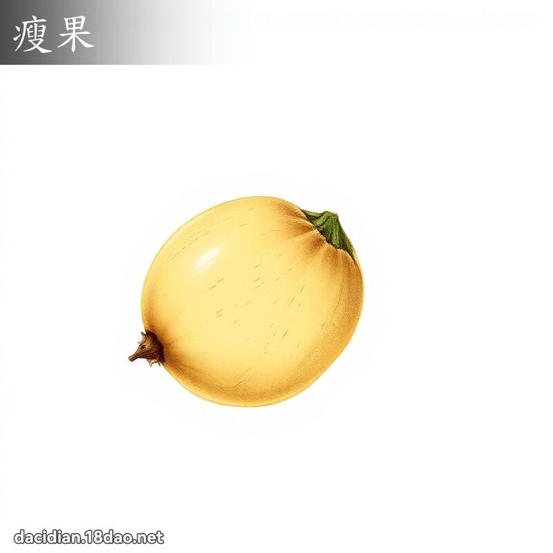 瘦果 - 国语大辞典配图