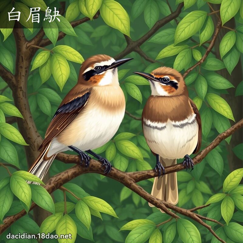 白眉鴃 - 國語大辭典配圖