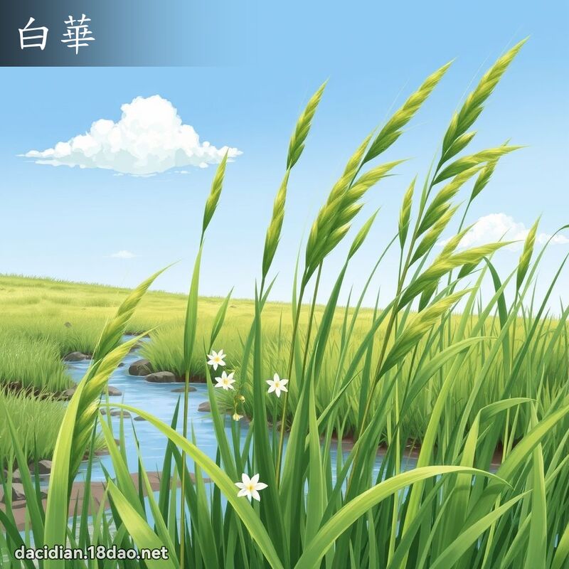 白华 - 国语大辞典配图