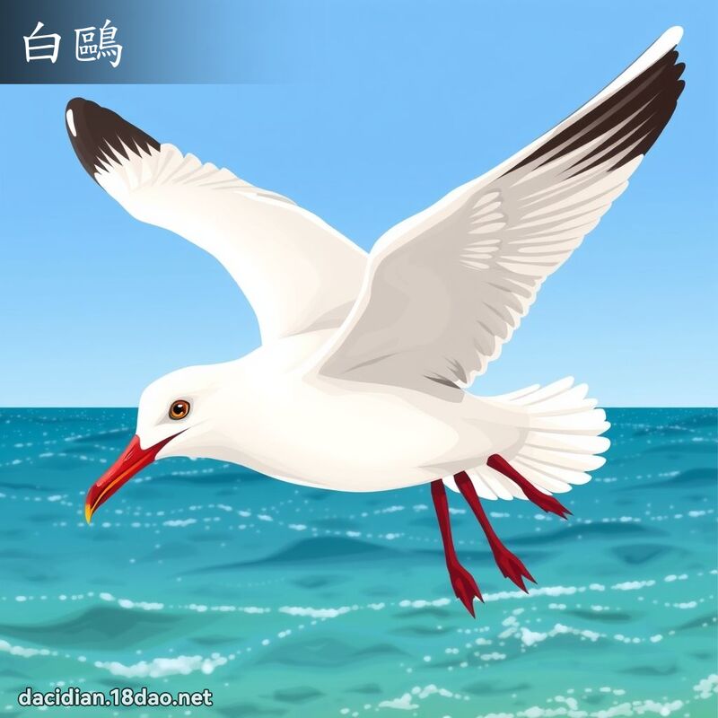 白鸥 - 国语大辞典配图