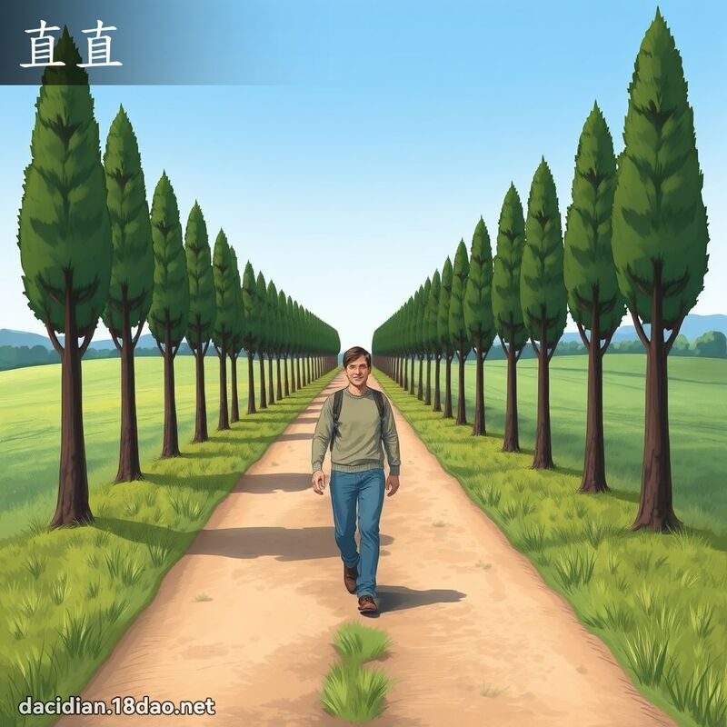 直直 - 國語大辭典配圖