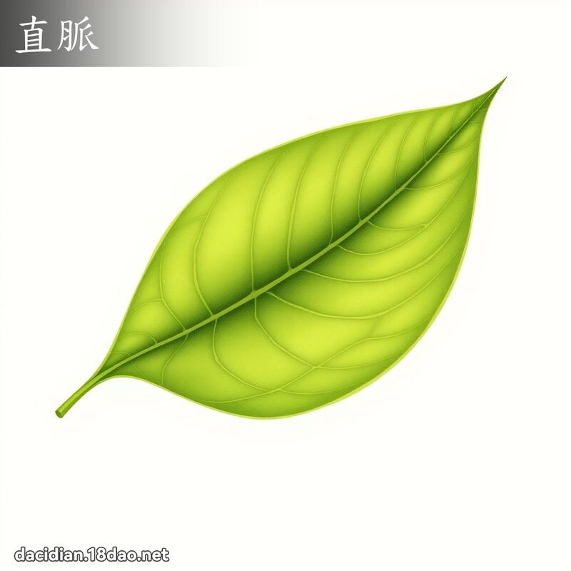 直脈 - 國語大辭典配圖