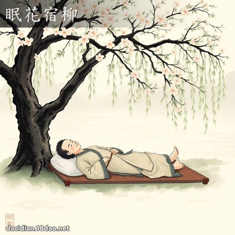 眠花宿柳 - 国语大辞典配图