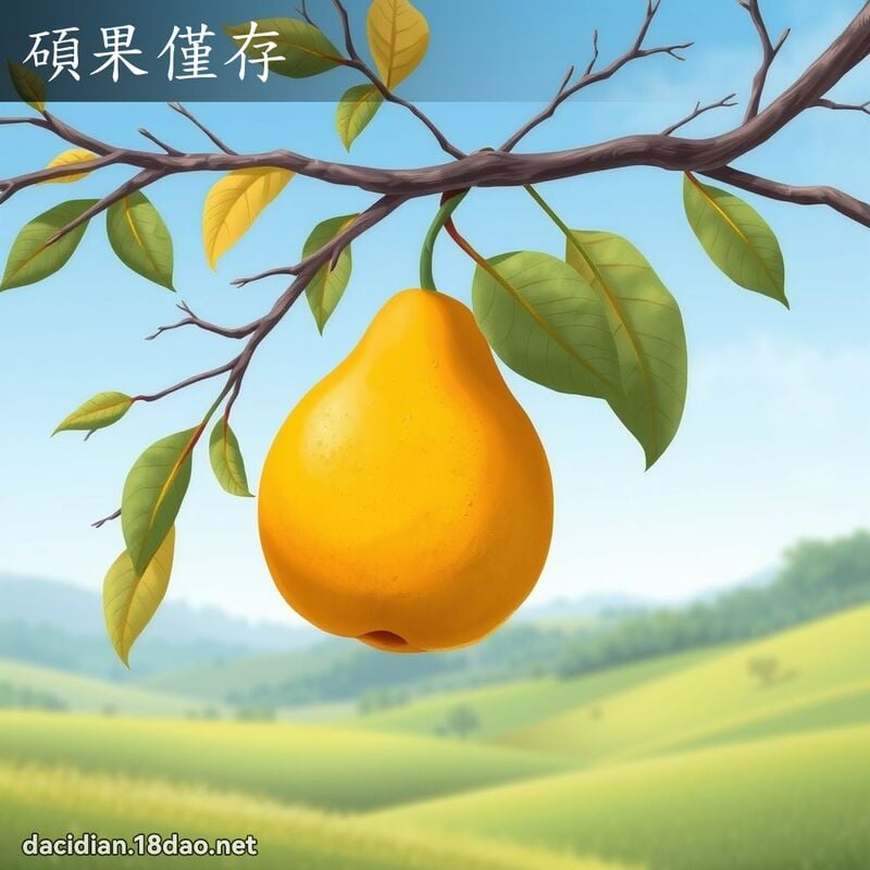 硕果仅存 - 国语大辞典配图