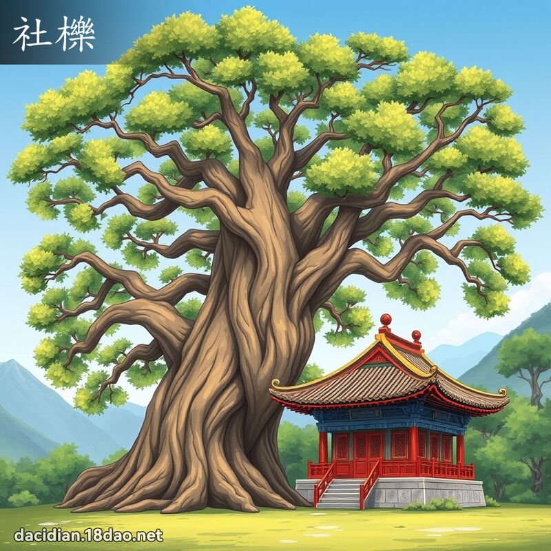 社櫟 - 国语大辞典配图