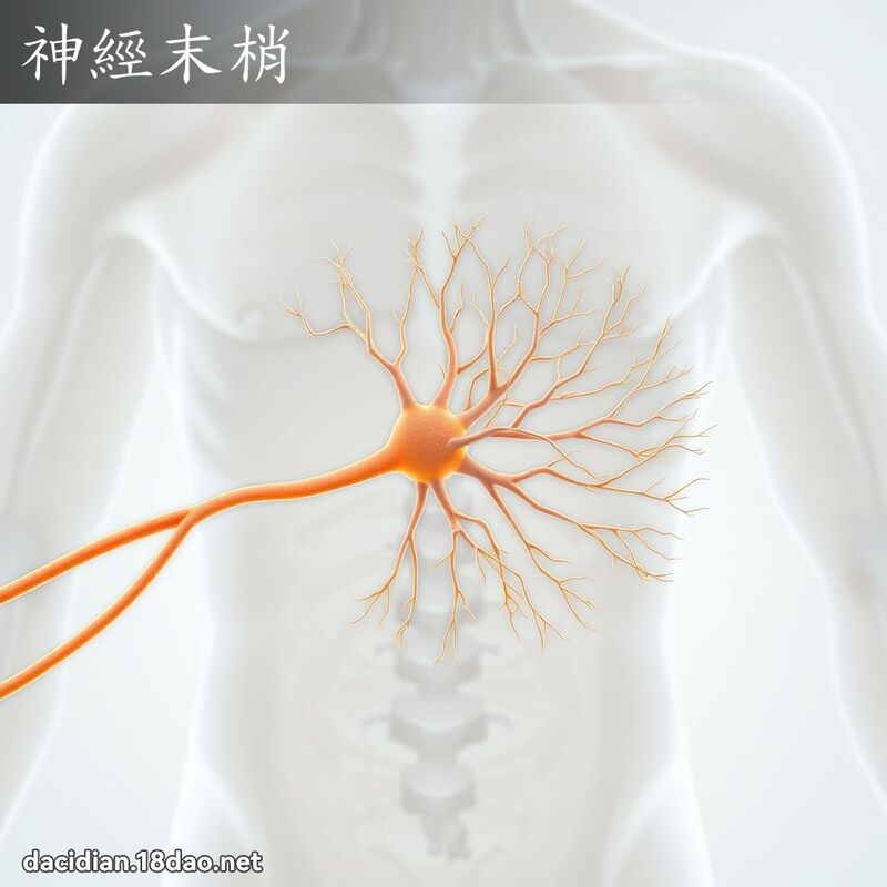 神經末梢 - 國語大辭典配圖