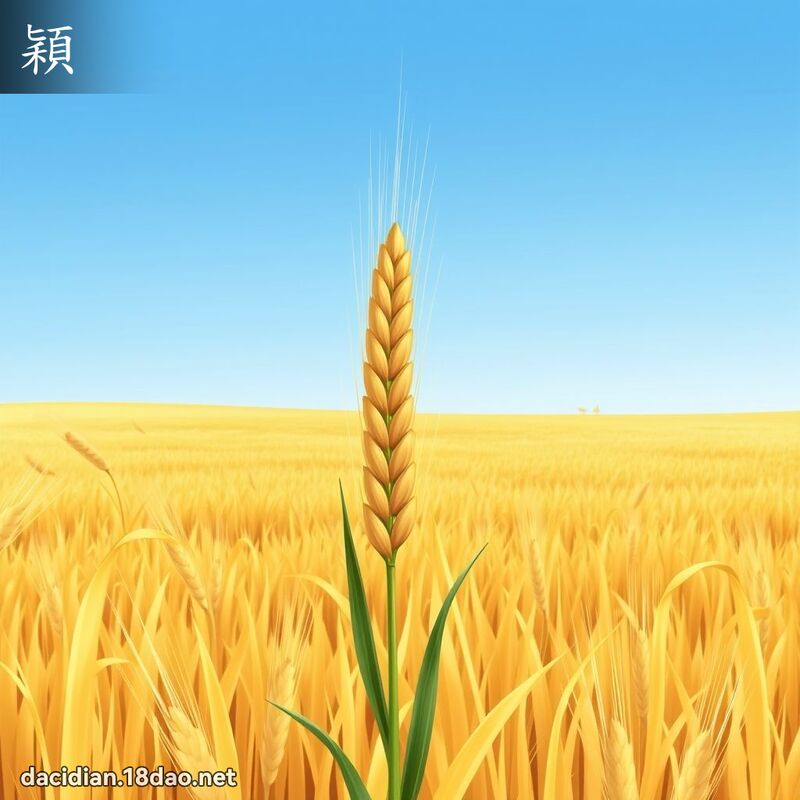 穎 - 國語大辭典配圖