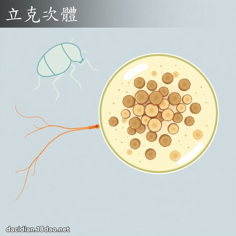 立克次体 - 国语大辞典配图