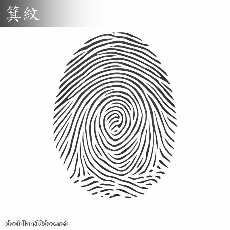 箕纹 - 国语大辞典配图