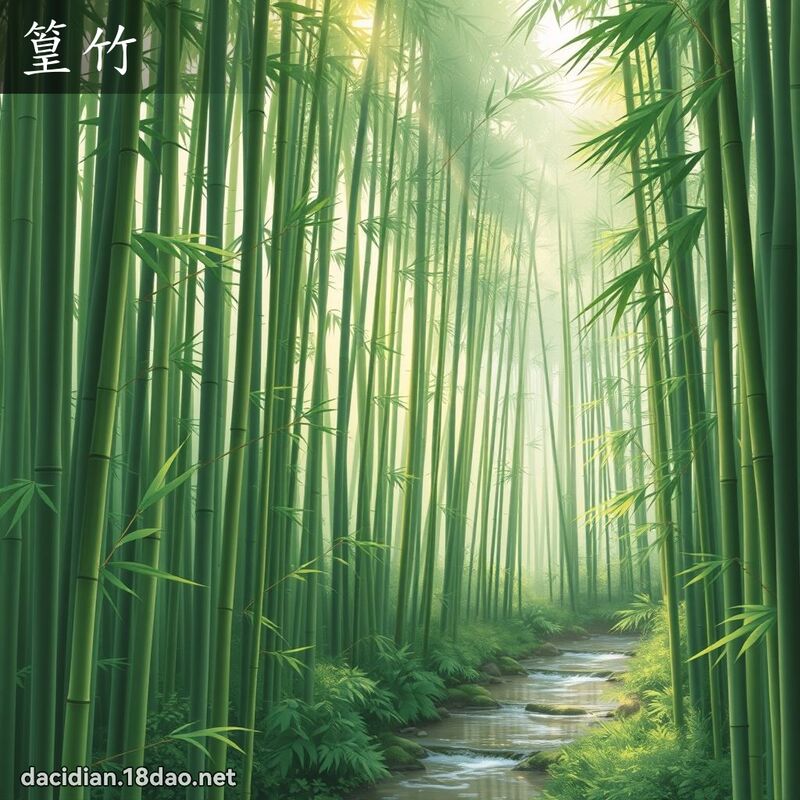 篁竹 - 國語大辭典配圖