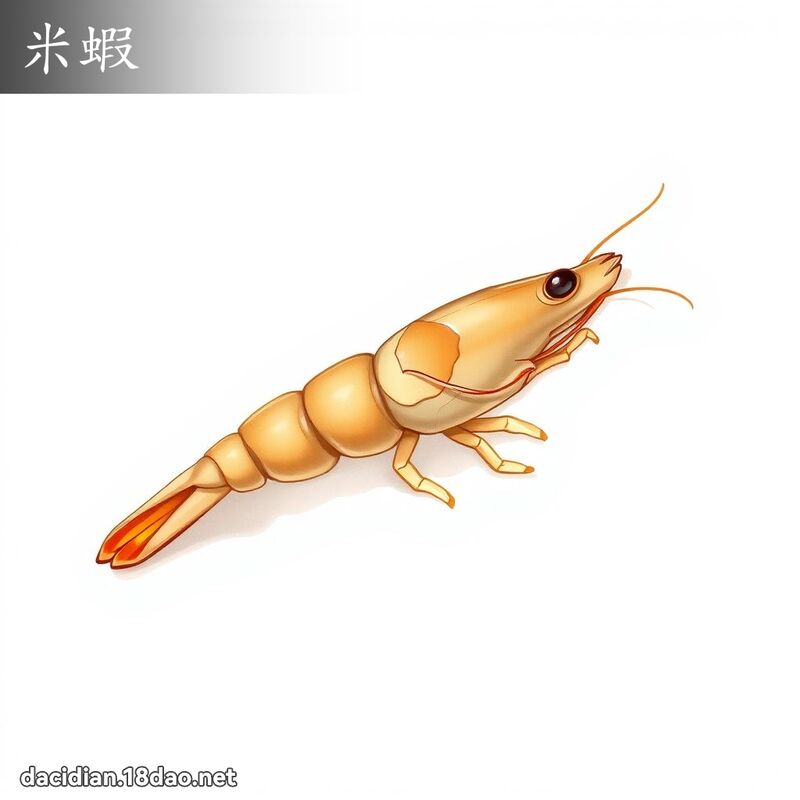 米虾 - 国语大辞典配图
