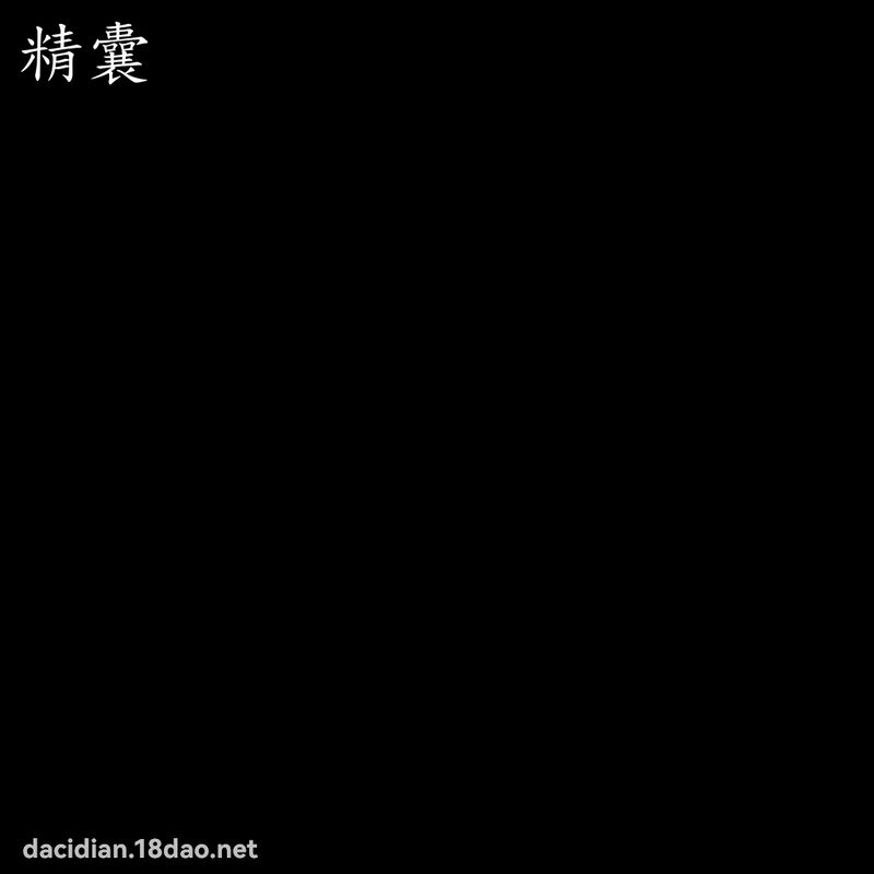 精囊 - 國語大辭典配圖
