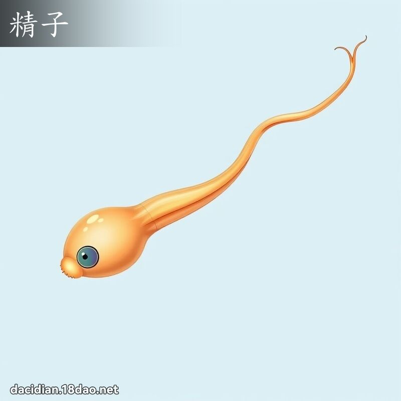 精子 - 國語大辭典配圖