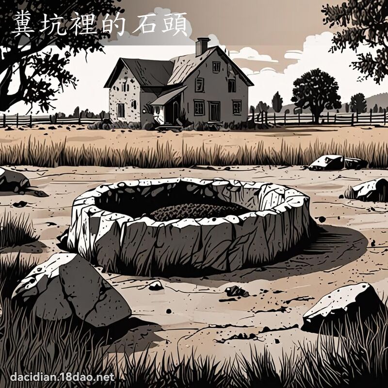 粪坑里的石头 - 国语大辞典配图
