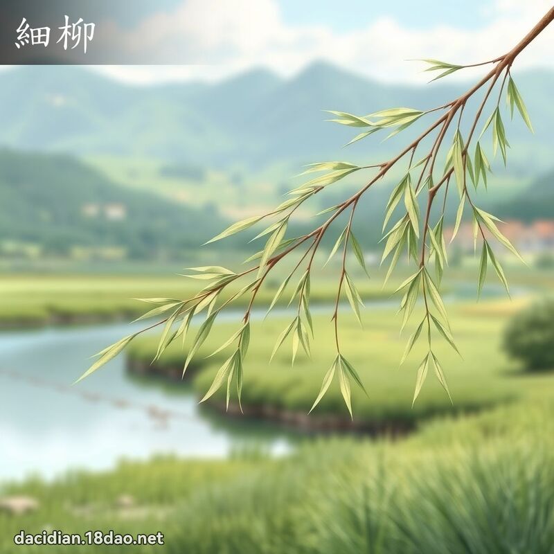 细柳 - 国语大辞典配图