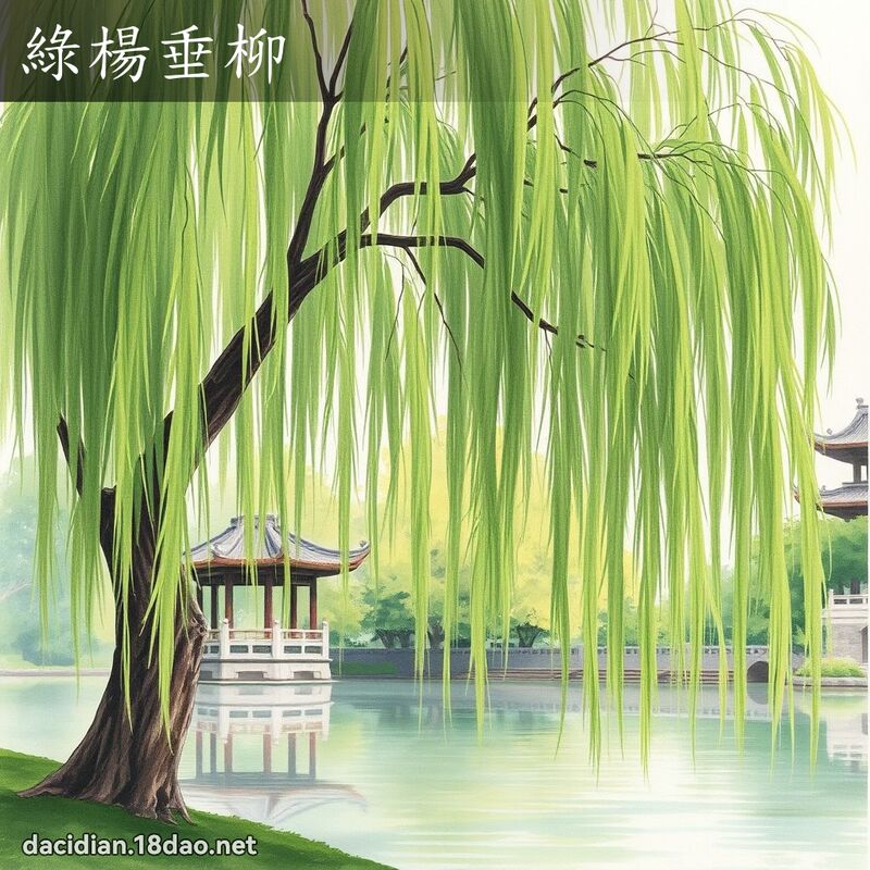 绿杨垂柳 - 国语大辞典配图