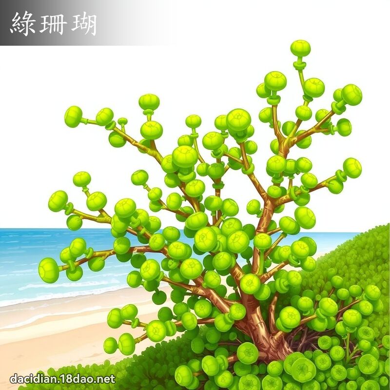 绿珊瑚 - 国语大辞典配图