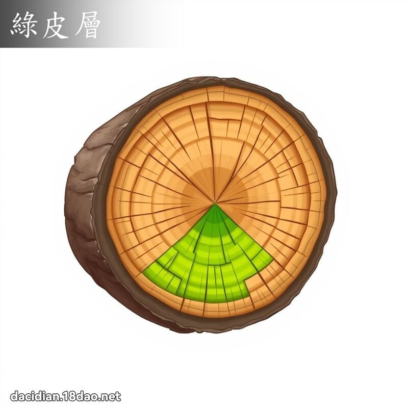绿皮层 - 国语大辞典配图