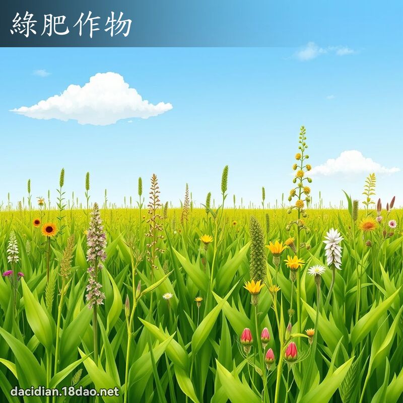 绿肥作物 - 国语大辞典配图